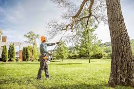 Lawn Irrigation Installation and Maintenance in Burlingame, CA