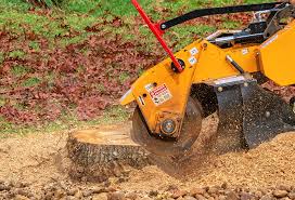 How Our Tree Care Process Works  in  Burlingame, CA